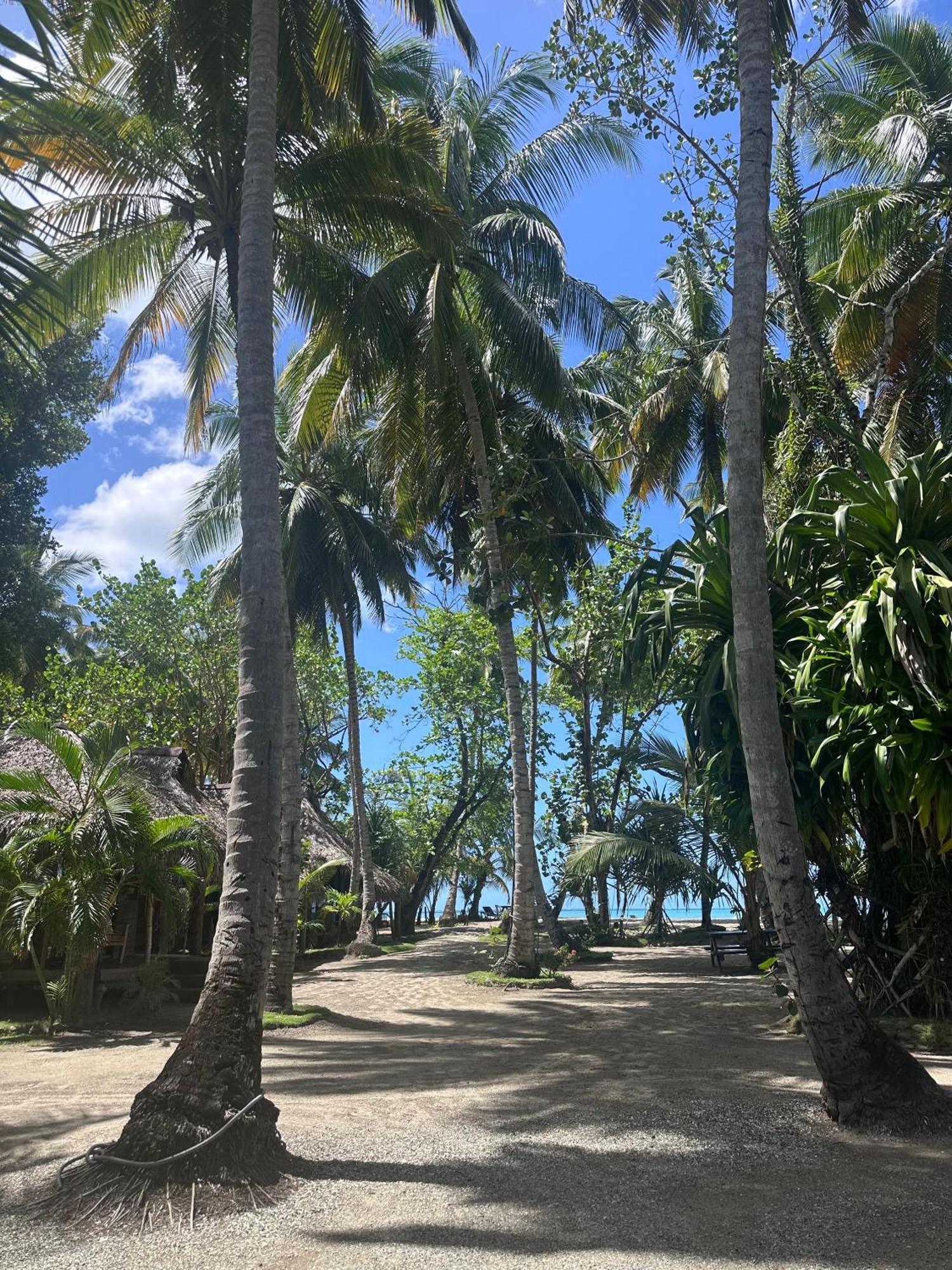 Playa Paraiso En Magante La Yagua Ngoại thất bức ảnh